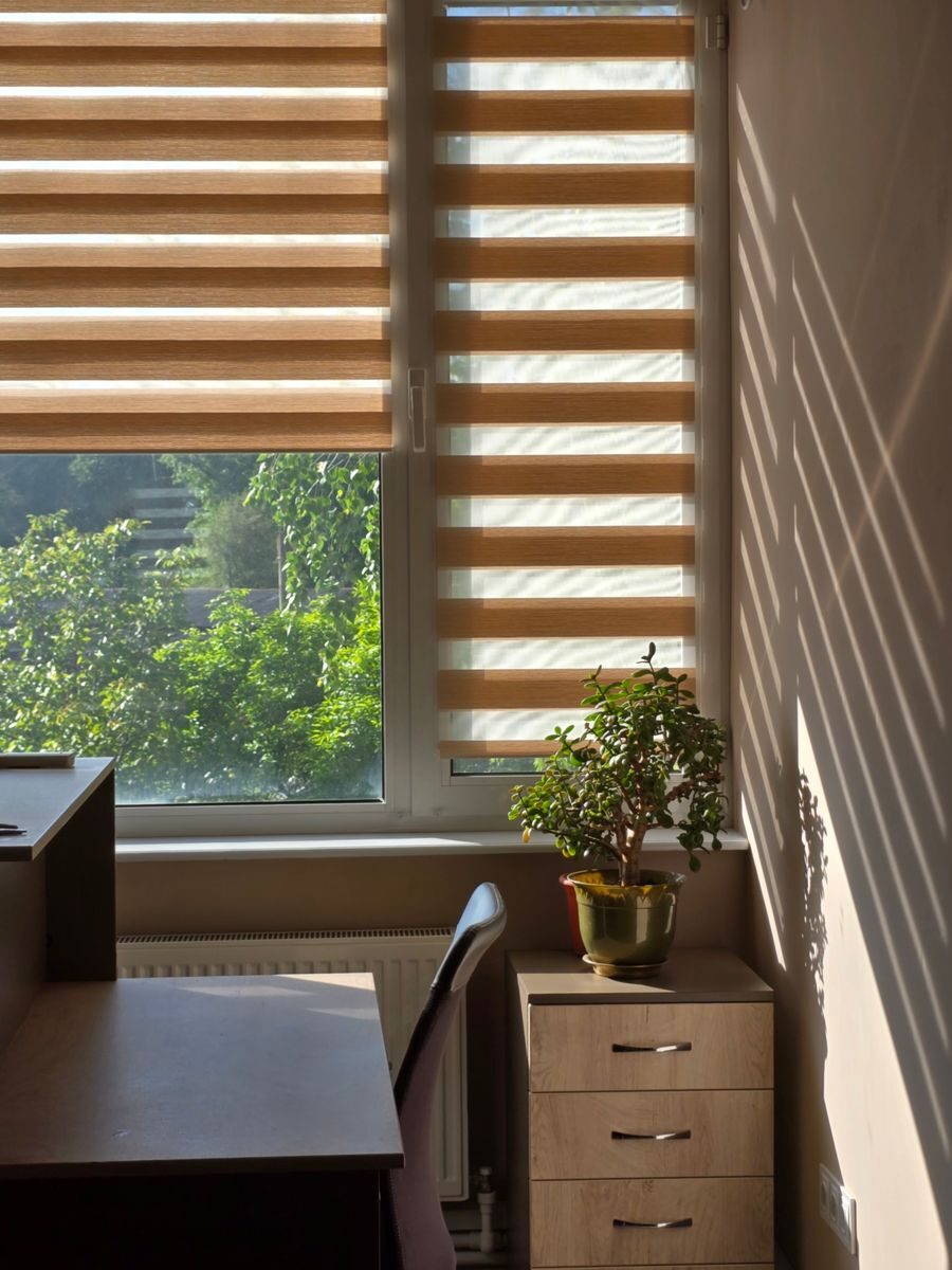 Maximizing Energy Efficiency with Window Treatments in North Dallas, TX A peaceful office corner with natural light, featuring a plant and venetian blinds.