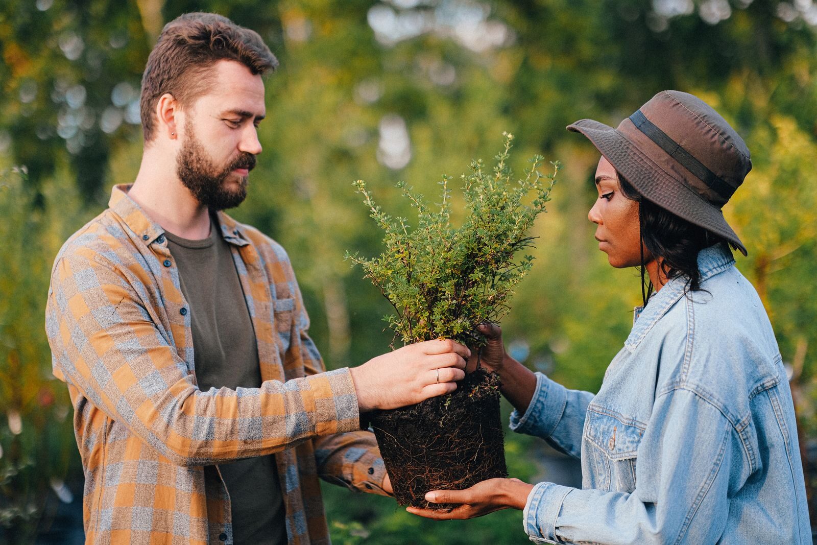 How Tree Care Enhances Community Well-Being in Chesapeake, VA A man and woman exchanging a potted plant in a garden setting.