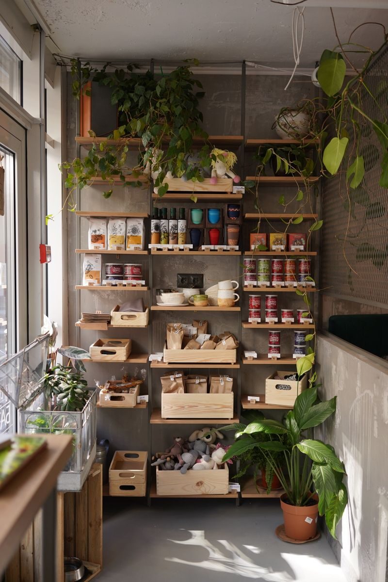 Food Storage Basics For Busy Households A modern kitchen shelving unit adorned with plants and organized food items, offering a cozy home vibe.