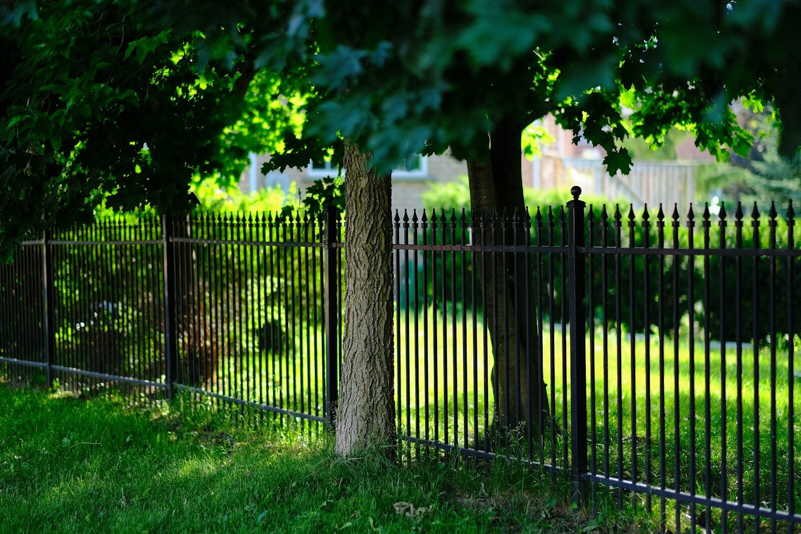 How to Choose a Fence for Privacy, Pets, and Property Layout in North Texas black metal fence near green trees during daytime