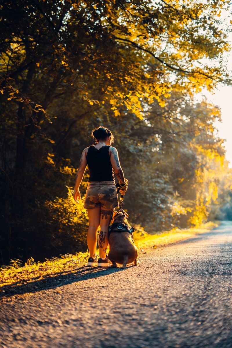 Working From Home While Prioritizing Mental Health: A Practical Recovery Guide Woman and dog walking on a sunlit road with autumn leaves, creating a serene scene.