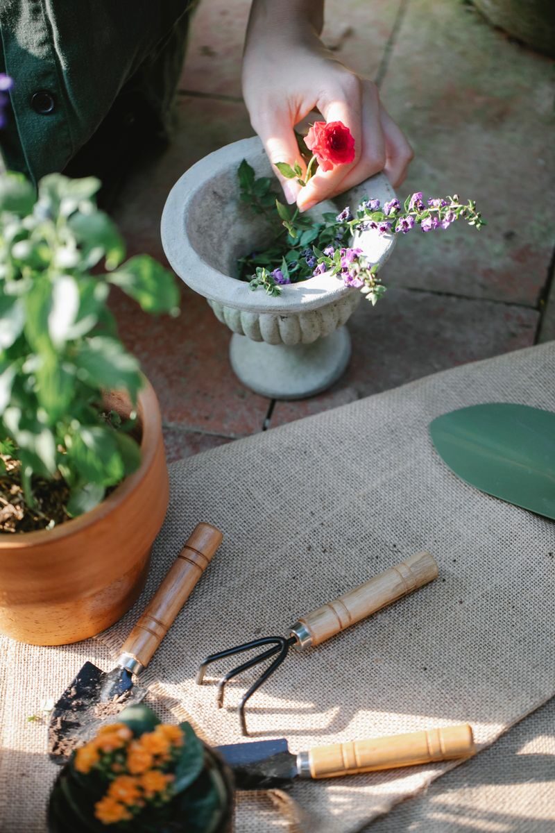 Tips for Building a Lifestyle Around the Things You Enjoy From above of crop anonymous grower showing bright blossoming flower in pot on walkway with gardening tools