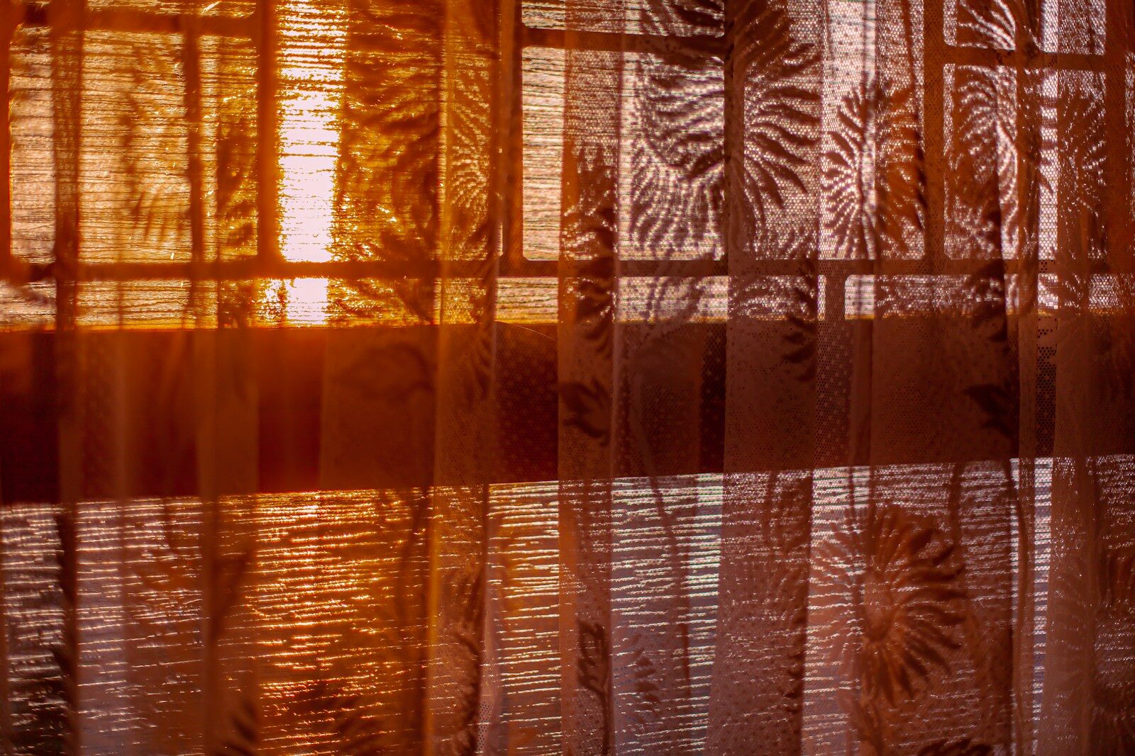 DIY Lighting ideas a close up of a sheer curtain with leaves on it